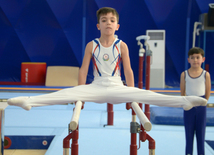 Bakıda kişi idman gimnastikası üzrə çoxnövçülükdə yarışlar başlayıb. Azərbaycan, 5 dekabr 2015